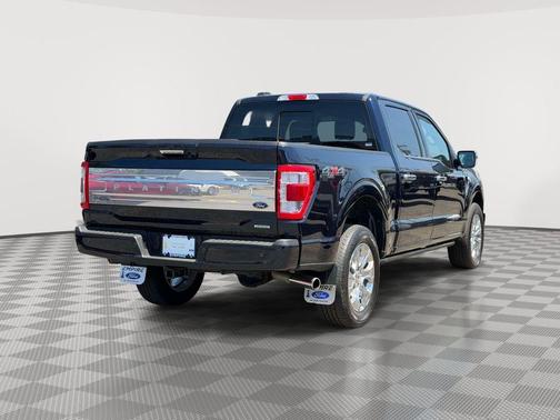 Antimatter Blue Metallic 2023 Ford F-150 Platinum