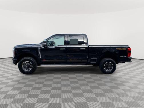 Agate Black Metallic 2024 Ford F-250 Platinum