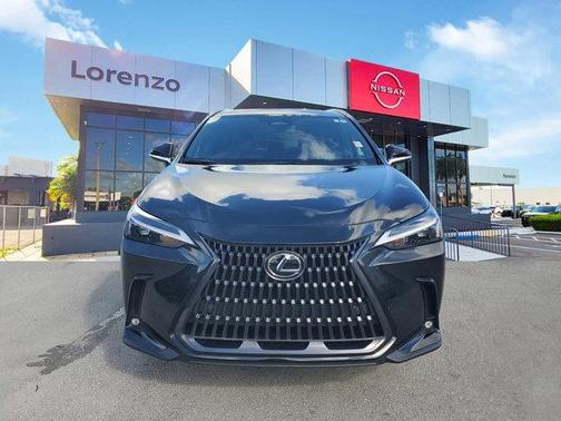 2025 Lexus NX 250 Premium