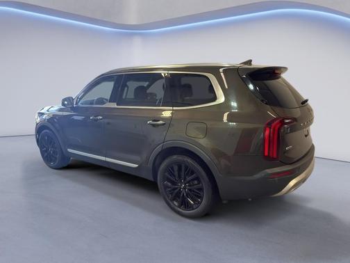 Dark Moss 2020 Kia Telluride SX