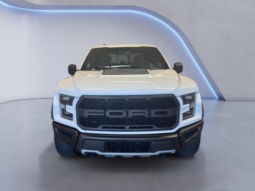 2017 Ford F-150 Raptor