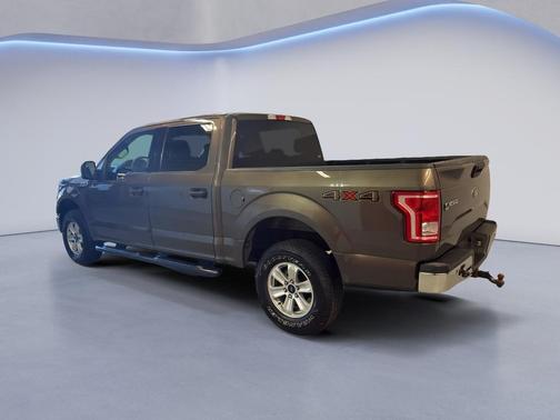 Caribou Metallic 2016 Ford F-150 XLT