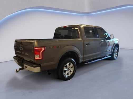 Caribou Metallic 2016 Ford F-150 XLT