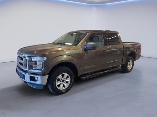 Caribou Metallic 2016 Ford F-150 XLT