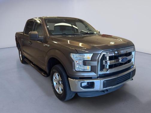 Caribou Metallic 2016 Ford F-150 XLT