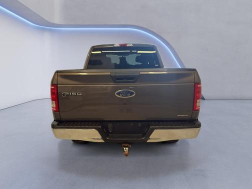 Caribou Metallic 2016 Ford F-150 XLT