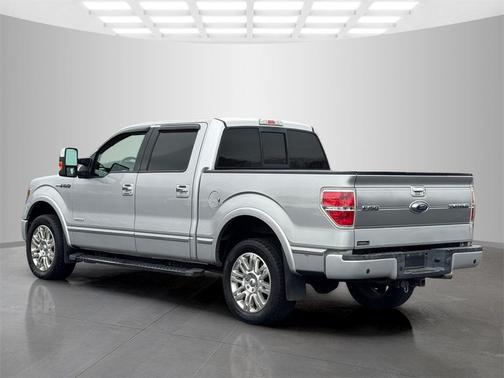 2013 Ford F-150 Platinum