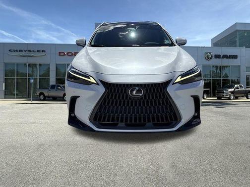 2024 Lexus NX 350h Luxury