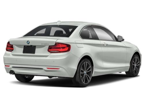 Alpine White 2020 BMW 230 230i