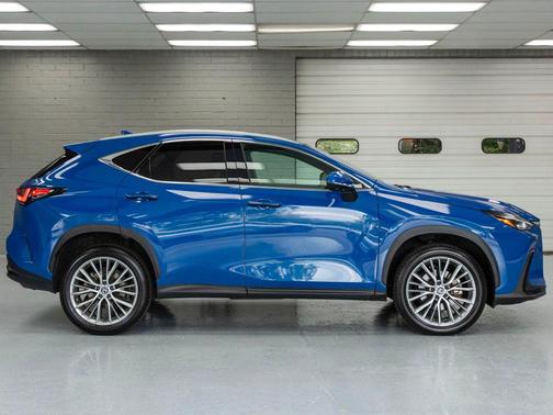 2024 Lexus NX 350h Luxury
