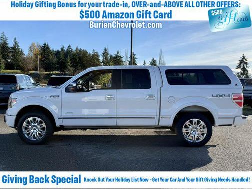 2013 Ford F-150 Platinum