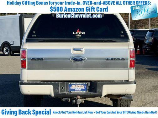 2013 Ford F-150 Platinum