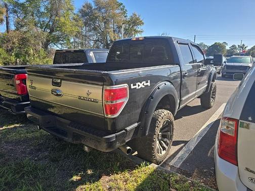 2013 Ford F-150 Platinum