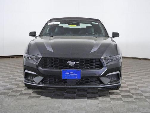 Shadow Black 2025 Ford Mustang EcoBoost