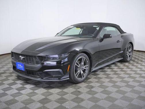 Shadow Black 2025 Ford Mustang EcoBoost