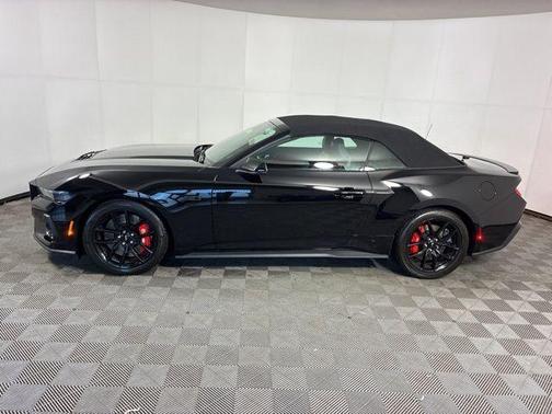 Shadow Black 2025 Ford Mustang GT Premium