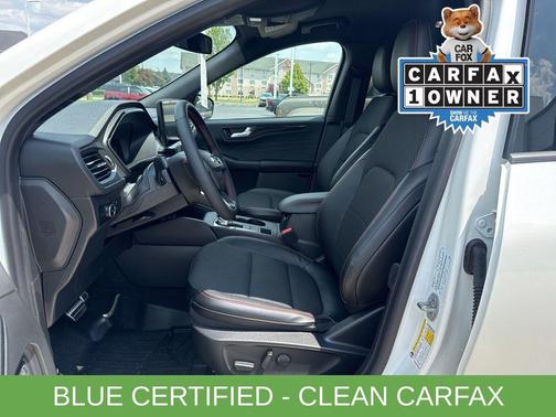 2023 Ford Escape ST-Line Elite