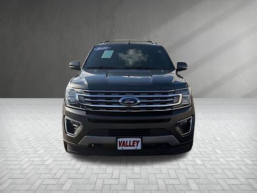 Magnetic 2020 Ford Expedition Max Limited