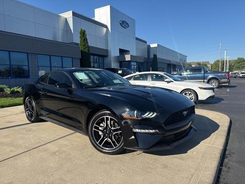 2019 Ford Mustang EcoBoost