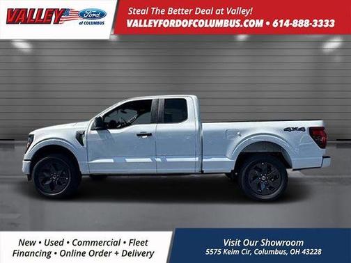 2025 Ford F-150 STX