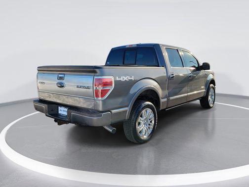2014 Ford F-150 Platinum