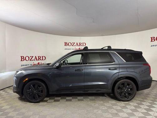 Steel Graphite 2024 Hyundai PALISADE XRT