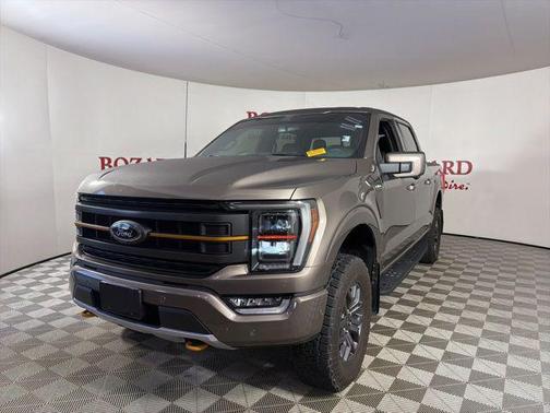 Stone Gray Metallic 2022 Ford F-150 Tremor
