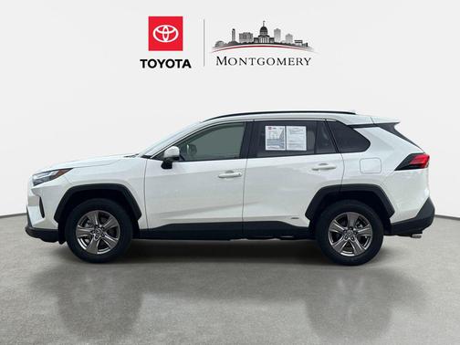Ice Cap 2025 Toyota RAV4 Hybrid XLE