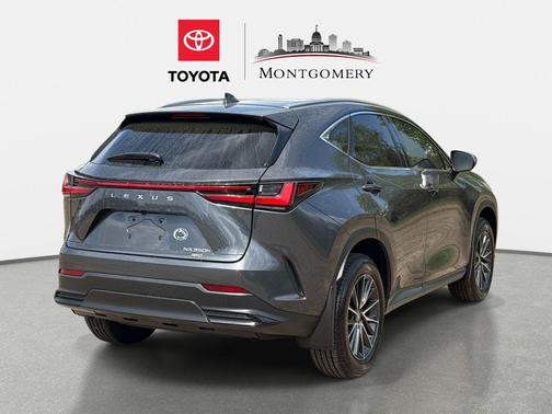 2025 Lexus NX 350h Luxury