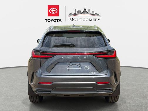 2025 Lexus NX 350h Luxury