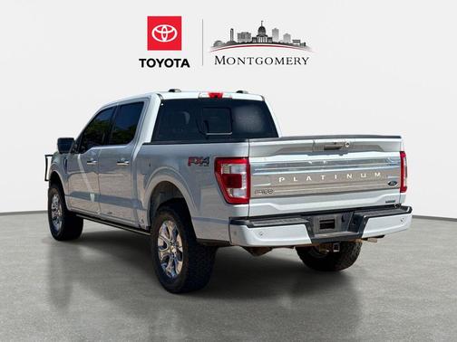 AVALANCHE 2023 Ford F-150 Platinum