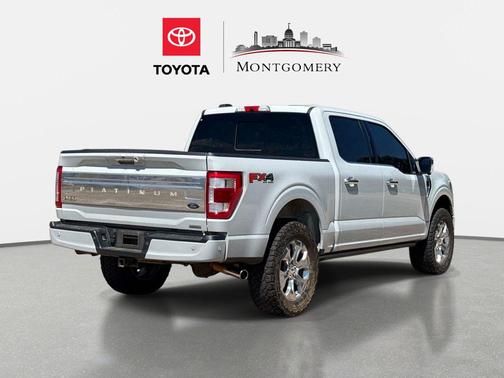 AVALANCHE 2023 Ford F-150 Platinum
