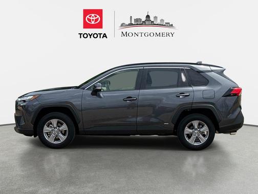 Magnetic Gray Metallic 2024 Toyota RAV4 Hybrid XLE
