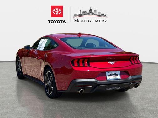 RAPID RED MET TINTED CC 2024 Ford Mustang EcoBoost
