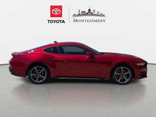 RAPID RED MET TINTED CC 2024 Ford Mustang EcoBoost