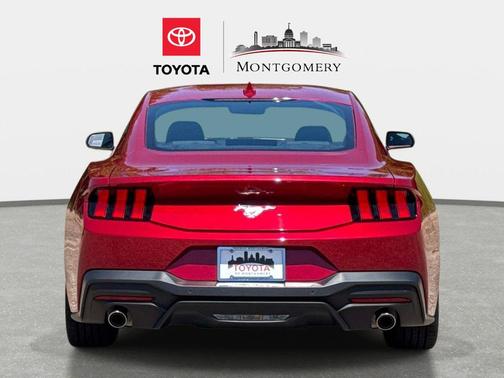RAPID RED MET TINTED CC 2024 Ford Mustang EcoBoost