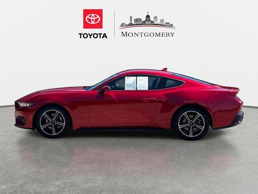 RAPID RED MET TINTED CC 2024 Ford Mustang EcoBoost
