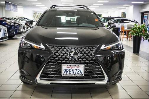 2025 Lexus UX 300h Premium