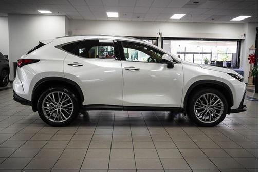 2024 Lexus NX 350h Luxury