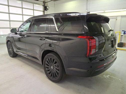 Abyss Black Pearl 2025 Hyundai PALISADE Calligraphy Night Edition