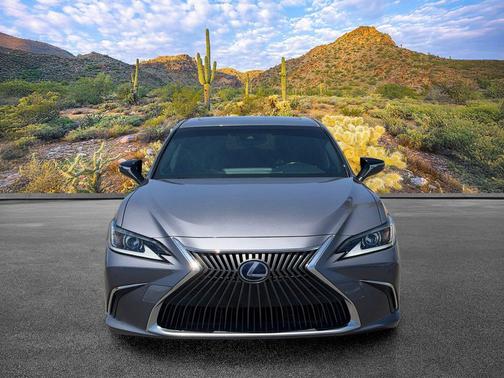 Nebula Gray Pearl 2019 Lexus ES 300h Luxury