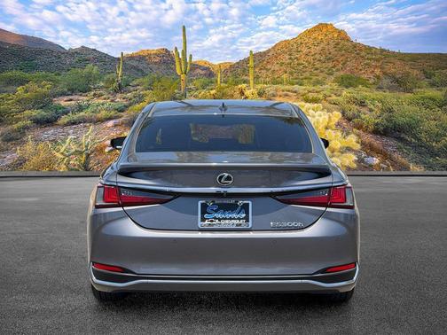 Nebula Gray Pearl 2019 Lexus ES 300h Luxury