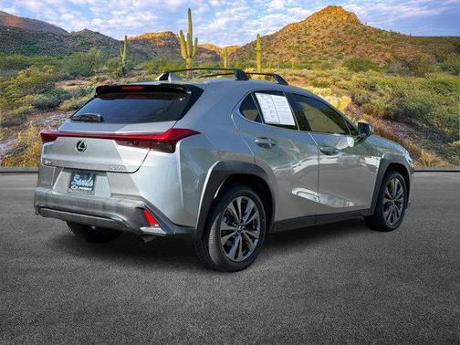 2019 Lexus UX 200 F Sport