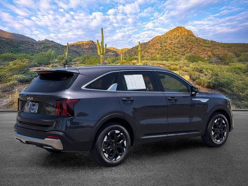 Panthera Metal 2025 Kia Sorento S