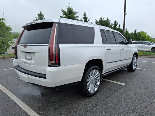 2019 Cadillac Escalade ESV Platinum