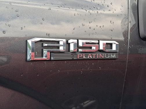 Magnetic 2018 Ford F-150 Platinum