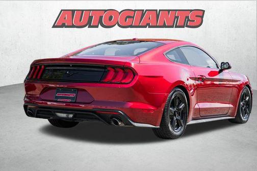 2019 Ford Mustang EcoBoost