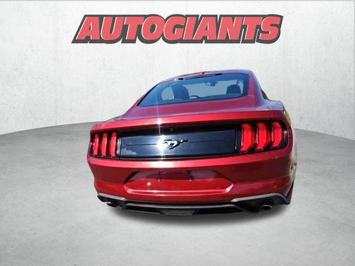 2019 Ford Mustang EcoBoost