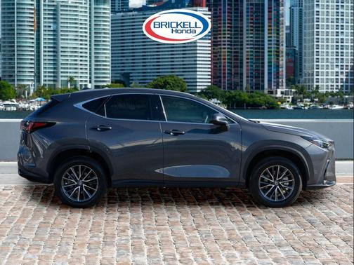 2024 Lexus NX 250 Premium