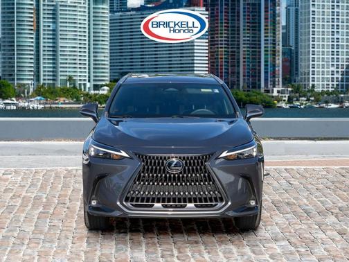 2024 Lexus NX 250 Premium